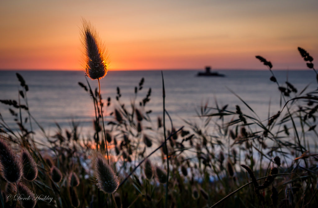 _MG_7628